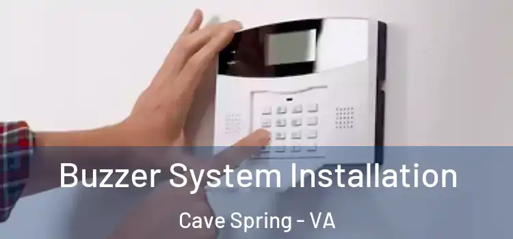 Buzzer System Installation Cave Spring - VA