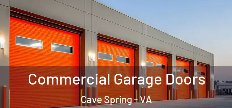  Commercial Garage Doors Cave Spring - VA