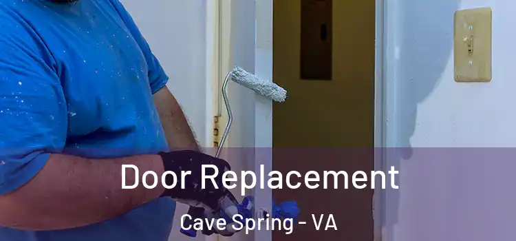 Door Replacement Cave Spring - VA