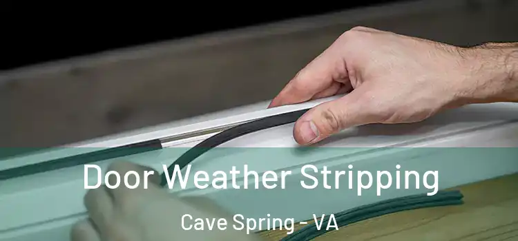 Door Weather Stripping Cave Spring - VA