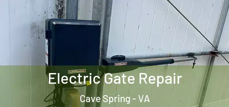 Electric Gate Repair Cave Spring - VA