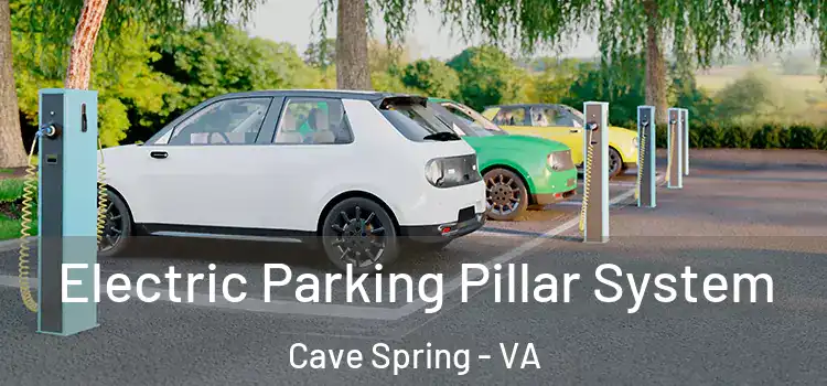 Electric Parking Pillar System Cave Spring - VA