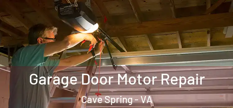  Garage Door Motor Repair Cave Spring - VA