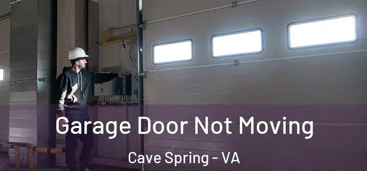  Garage Door Not Moving Cave Spring - VA