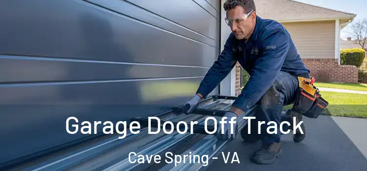  Garage Door Off Track Cave Spring - VA