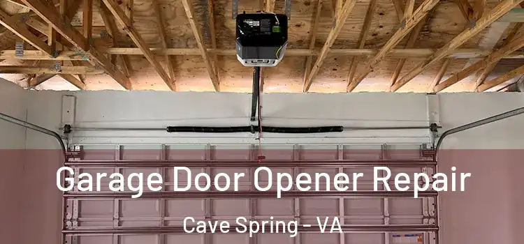  Garage Door Opener Repair Cave Spring - VA