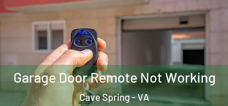  Garage Door Remote Not Working Cave Spring - VA