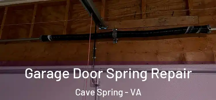  Garage Door Spring Repair Cave Spring - VA