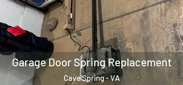  Garage Door Spring Replacement Cave Spring - VA