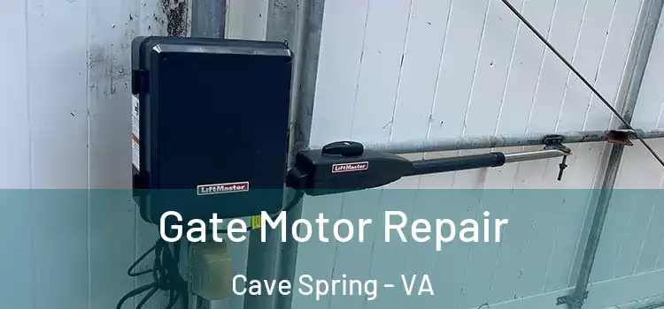Gate Motor Repair Cave Spring - VA
