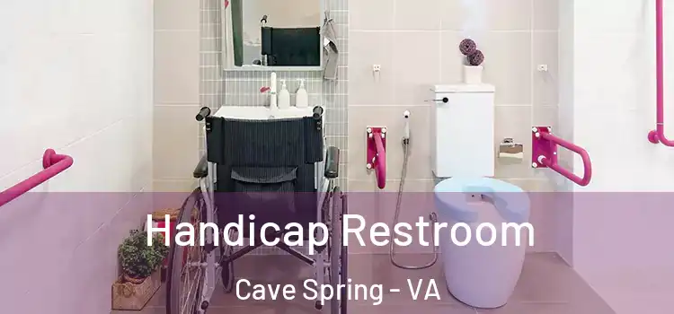  Handicap Restroom Cave Spring - VA