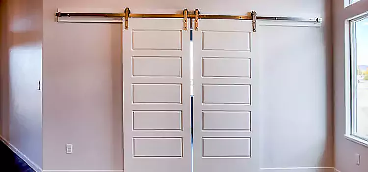 Glass Barn Door with Installation Hardware Kit Cave Spring