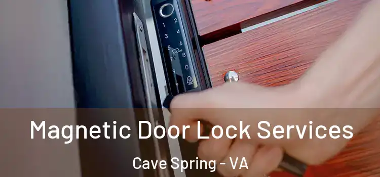 Magnetic Door Lock Services Cave Spring - VA