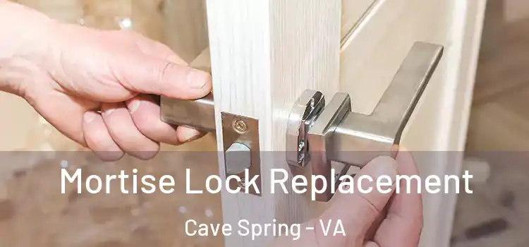 Mortise Lock Replacement Cave Spring - VA