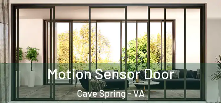 Motion Sensor Door Cave Spring - VA