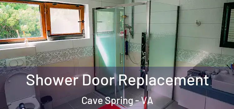 Shower Door Replacement Cave Spring - VA