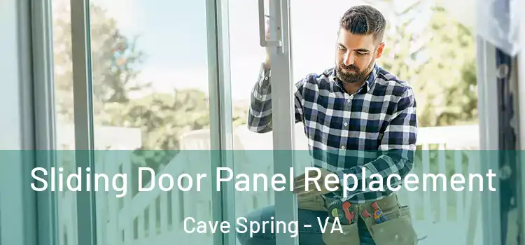  Sliding Door Panel Replacement Cave Spring - VA