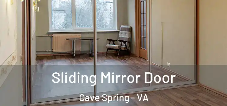  Sliding Mirror Door Cave Spring - VA