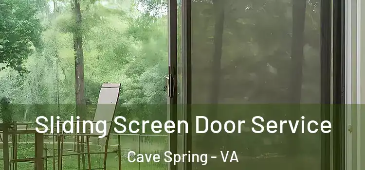 Sliding Screen Door Service Cave Spring - VA