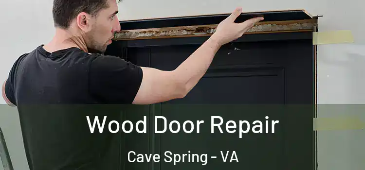 Wood Door Repair Cave Spring - VA